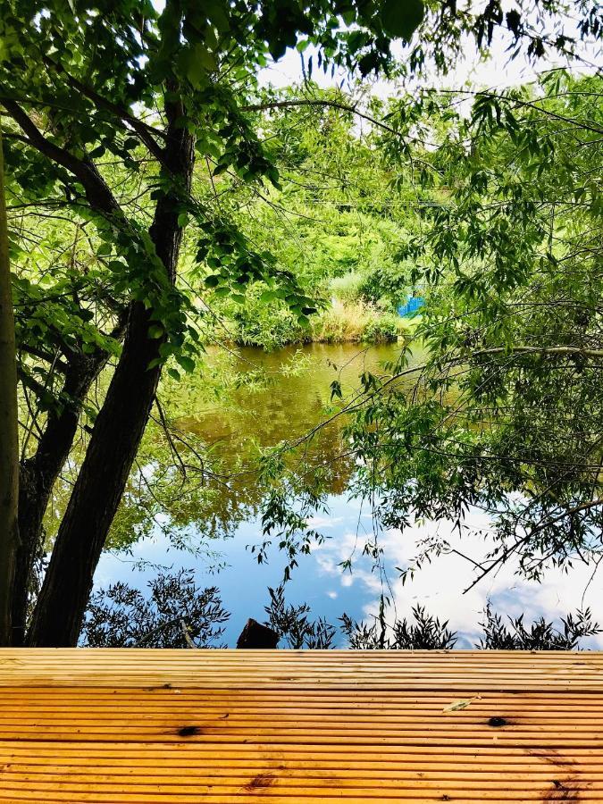 Naabsuite Neustadt an der Waldnaab Bagian luar foto